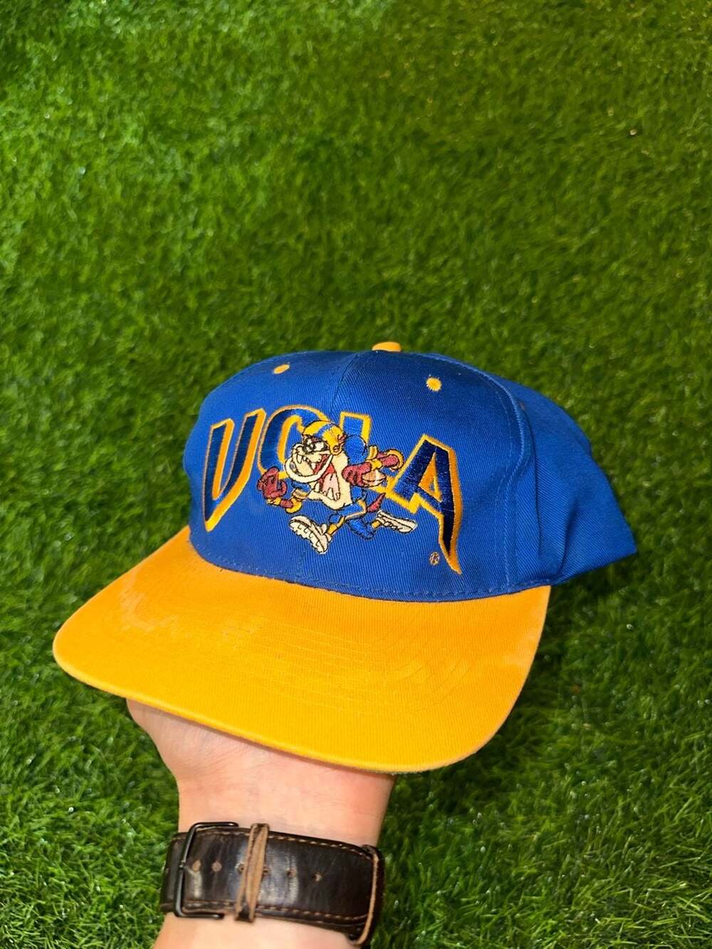 Vintage UCLA Bruins Warner Bros Tasmanian Devil Snapback Hat Blue Yellow
